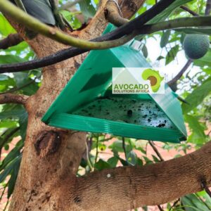 False Coddling Moth Trap