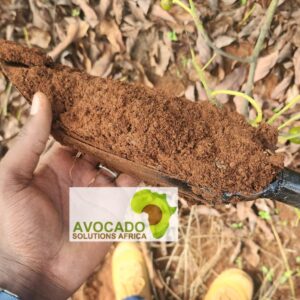 Complete Soil Analysis