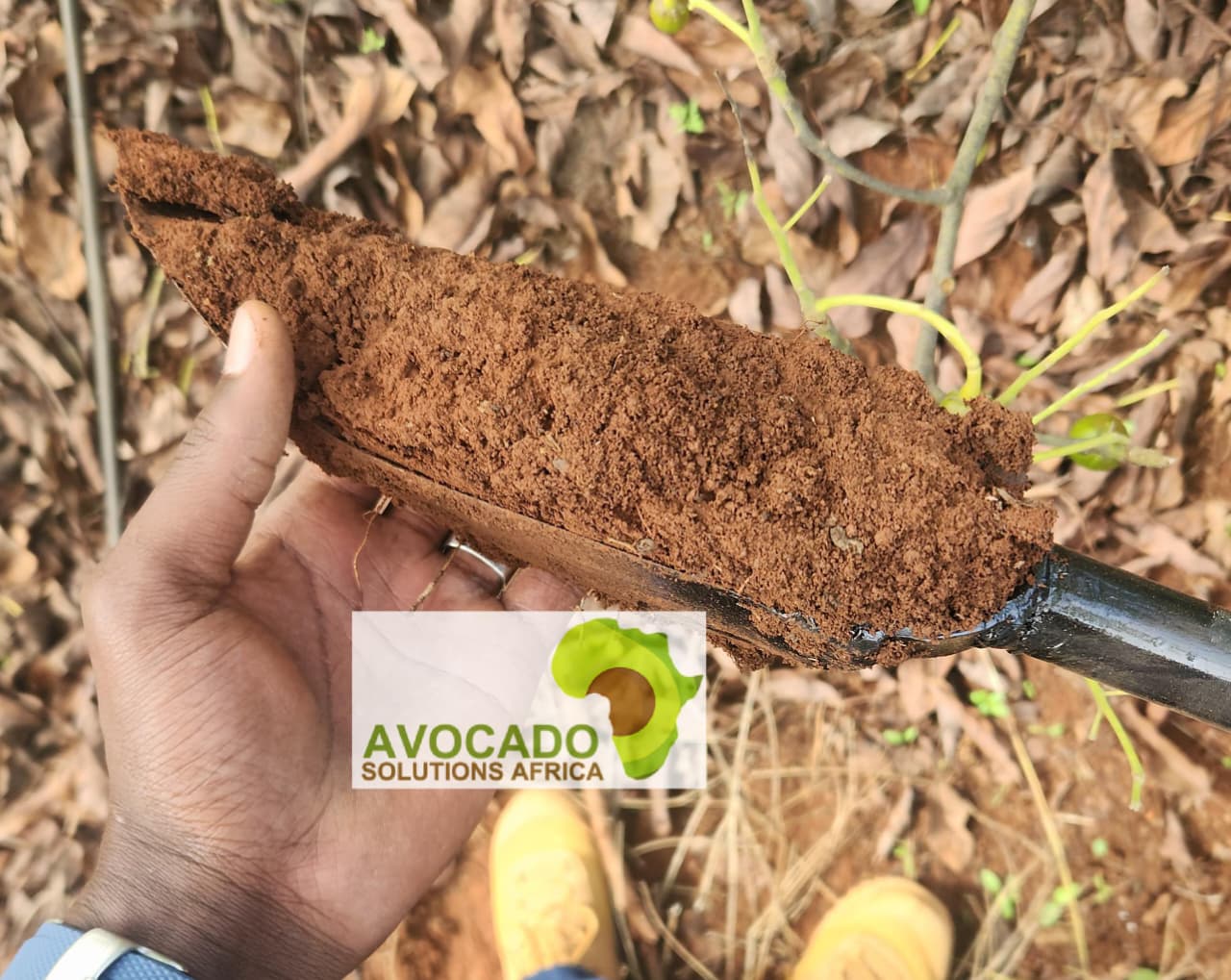 Complete Soil Analysis