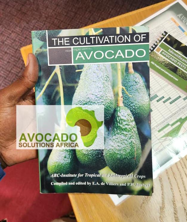 avocado cultivation handbook
