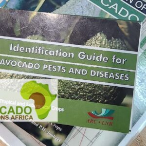 Avocado Pest & Disease Identification Guide