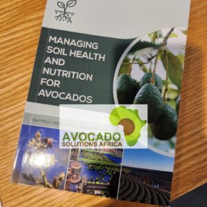 Managing Soil Health for Avocados – Essential Guide for High-Performing Orchards